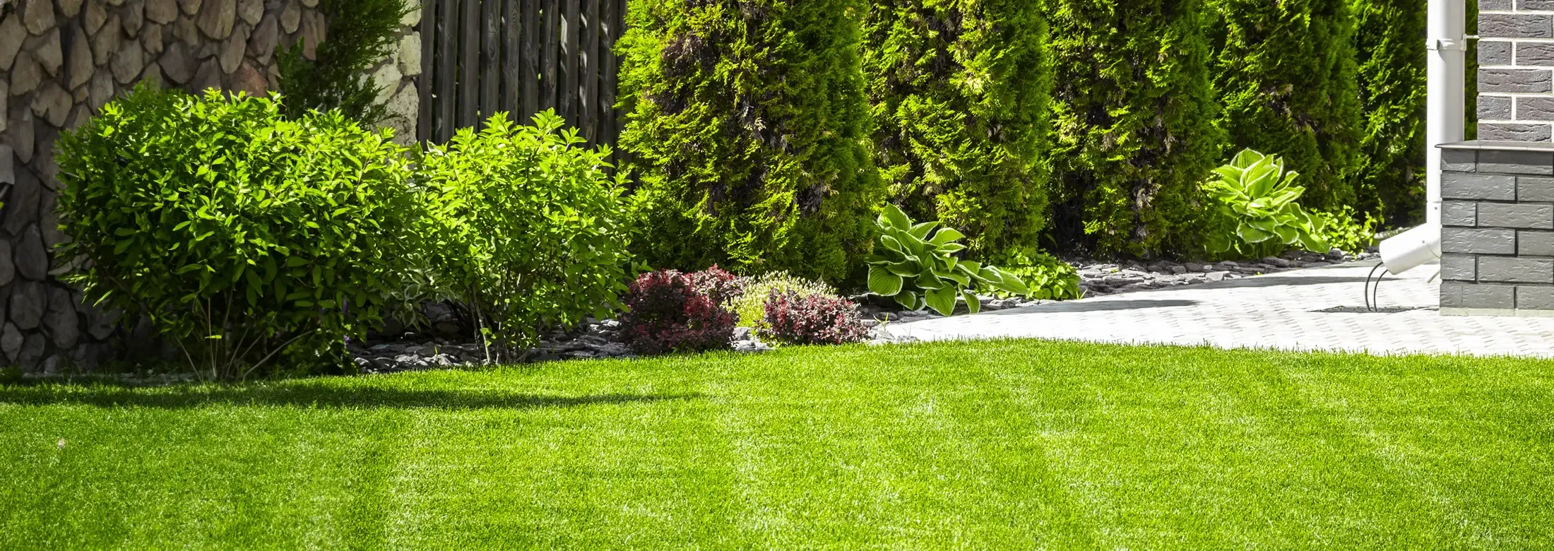 house back yard