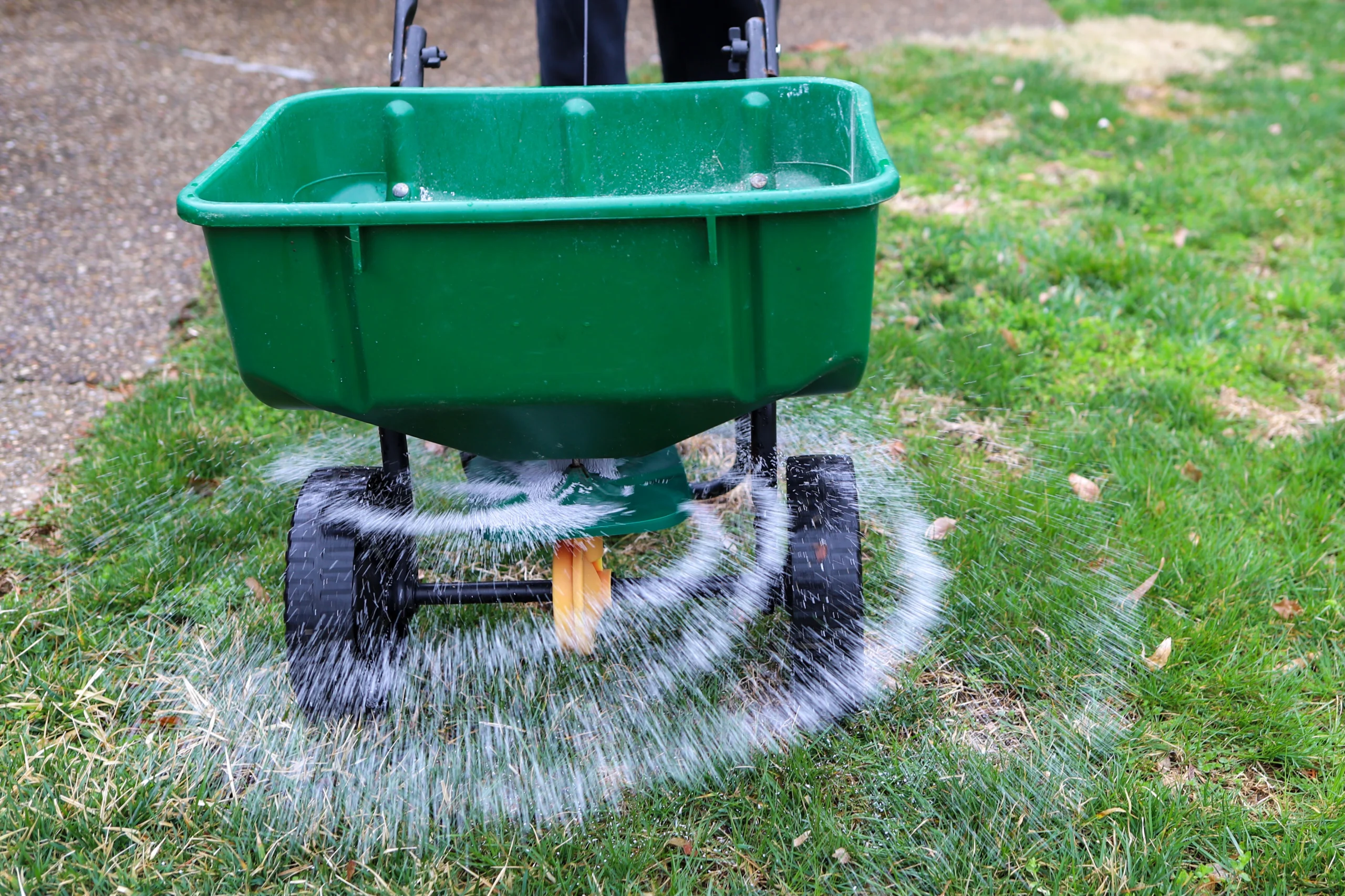 fertilization in progress, fertilizer spreading, lawn fertilization services